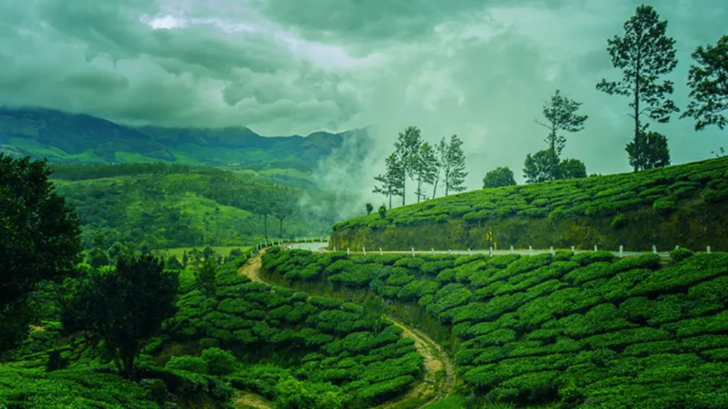 Monsoon safari destinations India